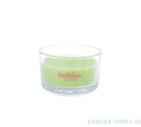 Свеча ароматическая 5 х 8 см в стекле &quot;True scents /Зелёный чай /Bolsius&quot; (время горения 13 ч) / 262608