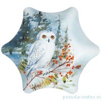 Салатник 19,8 х 19,8 х 2,5 см звезда &quot;зимняя сказка /сова&quot; / 268479