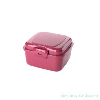 Контейнер 850 мл &quot;Takeaway&quot; / ассорти / 293730