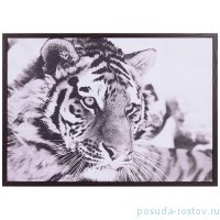 Панно 50 х 70 см &quot;Тигр&quot; /рамка венге / 270104