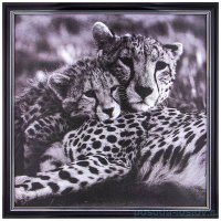 Фотопостер 50 х 50 см &quot;Леопарды&quot; /рамка черный лак с серебром / 275099