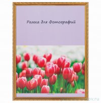 Фоторамка 30 х 40 см /рамка золото / 328856