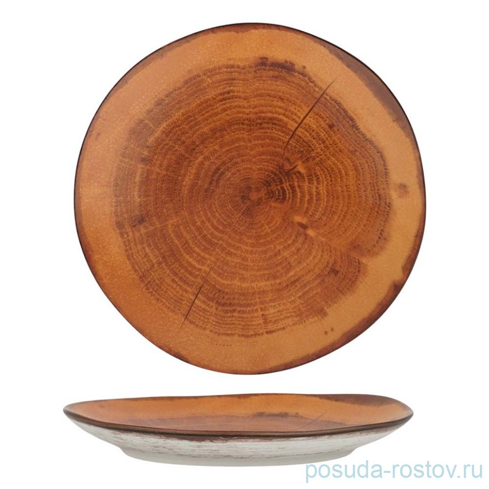 Тарелка 21 см, фарфор P.L. cерия  WOOD-FUSION / 365889