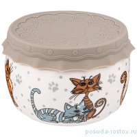 Банка для меда/варенья 500 мл с силиконовой крышкой &quot;озорные коты&quot; / 250981