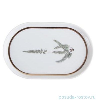 Блюдо 18 х 11,5 х 1,4 см овальное &quot;Botanical&quot; 1 / 281239