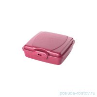 Контейнер 550 мл &quot;Takeaway&quot; / ассорти / 293728