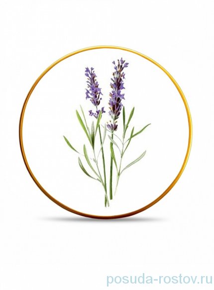 Набор тарелок 25 см 6 шт &quot;Lavander&quot; / 246061