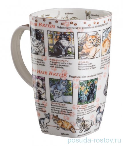 Кружка 600 мл &quot;the world of the cat&quot; / 189117