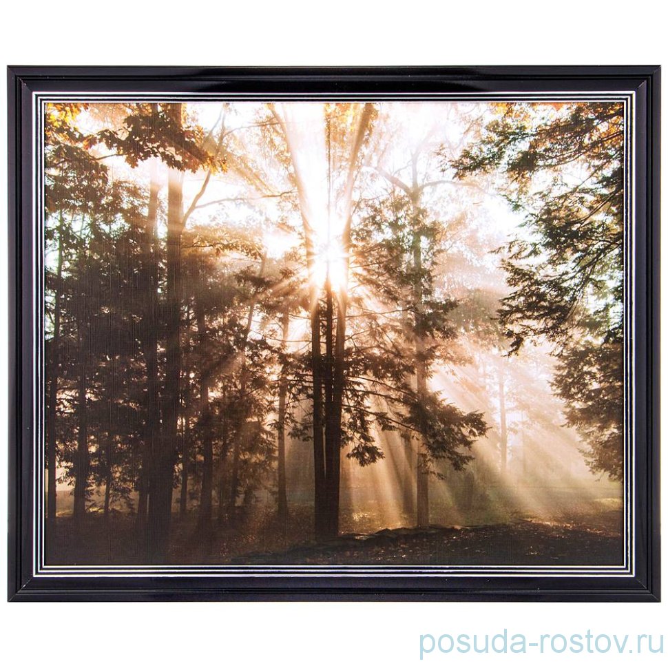 Фотопостер 40 х 50 см /рамка черный лак с серебром / 275089