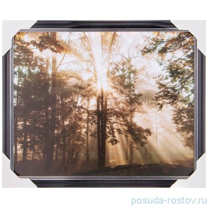 Фотопостер 40 х 50 см /рамка черный лак с серебром / 275089