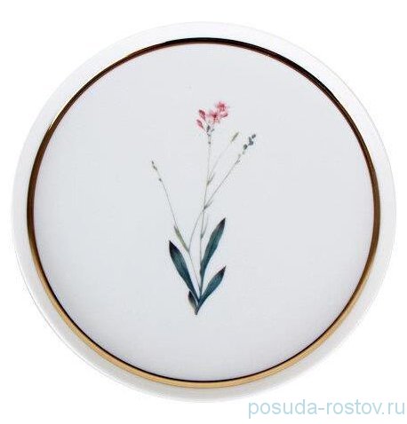 Тарелка 21 х 1,4 см "Botanical" 4 / 281241