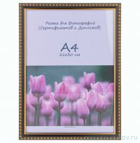 Фоторамка 21 х 30 см /рамка черный с золотом / 327785