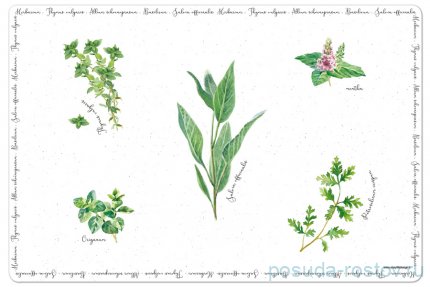 Салфетка под горячее 45 х 30 см &quot;Herbarium&quot; / 293200