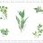 Салфетка под горячее 45 х 30 см &quot;Herbarium&quot; / 293200