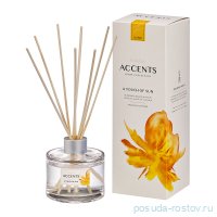 Набор ароматический диффузор 100 мл + палочки &quot;Accents /A Touch of sun&quot; / 278249